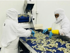 Langostinos 2 Langostino