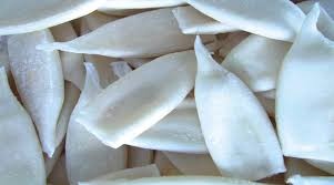 Pota 02 Calamar Loligo